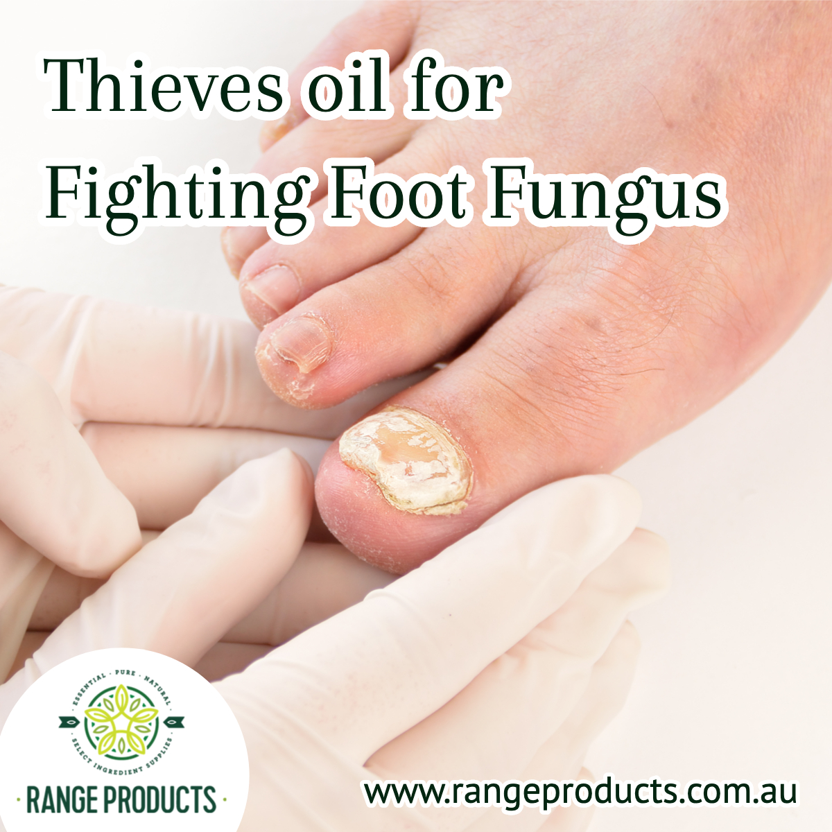 Fighting Foot Fungus – Range Products