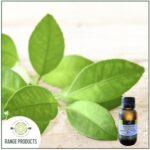 Petitgrain Essential Oil