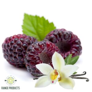 black raspberry & vanilla fragrance